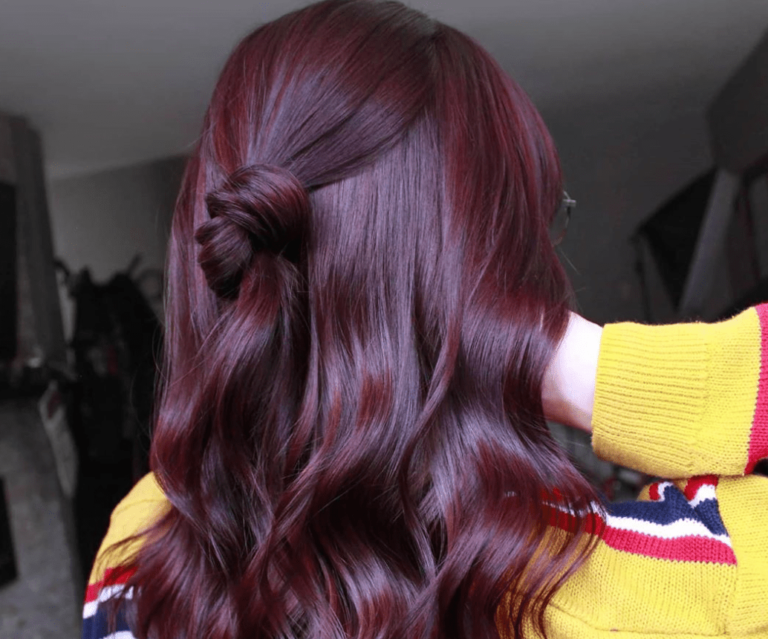 28 Plum Hair Color Ideas for a Subtle Way to Go Purple  : Transform Your Look Today